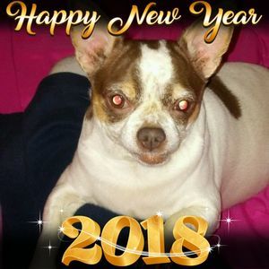 Meet your Posher, Sherri